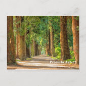 聖書箇所 箴言4:25-27 ポストカード (裏面)