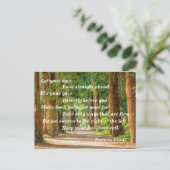 聖書箇所 箴言4:25-27 ポストカード (スタンド正面)