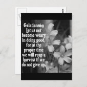 聖書聖なる書物、 経典ガラテヤ6:9 ポストカード (正面/裏面)