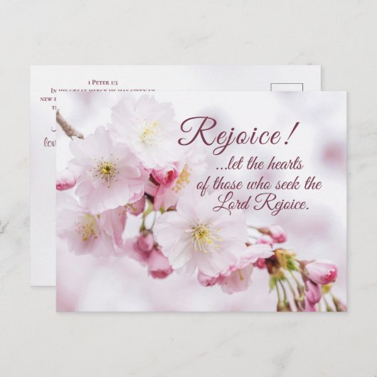 聖書聖句さくらんぼ花イースター ポストカード (正面/裏面)
