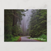 聖書詩篇31:14 私の時はあなたの手の中にある ポストカード (裏面)