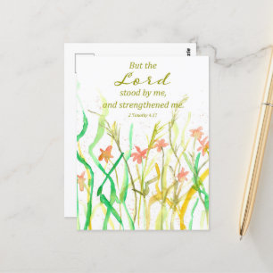 聖書 2 ティモテ 野の花束 ポストカード