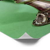 聖杯 ポスター (角)