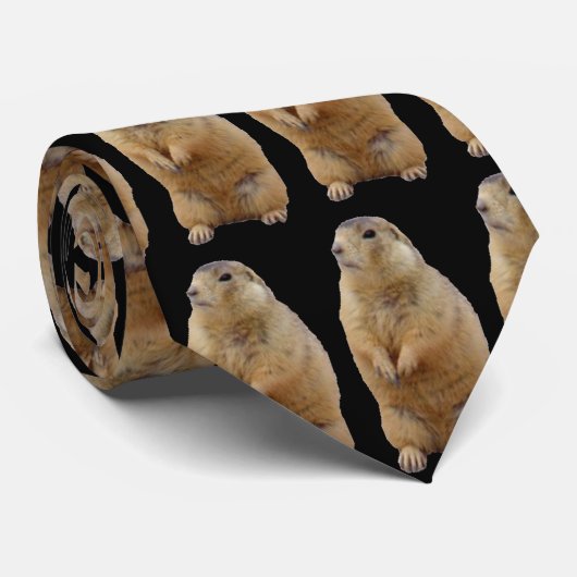 聖燭節のタイ ネクタイ (ロール)