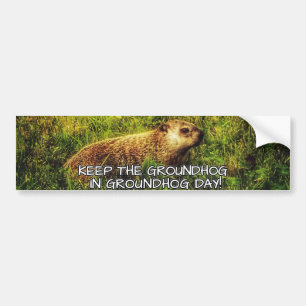 聖燭節のバンパーステッカーのGroundhogを保って下さい バンパーステッカー
