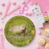 聖燭節のプレートの精神を保って下さい ペーパープレート (パーティー)