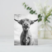 聖牛メゾントスタイル美術写真 ポストカード (スタンド正面)