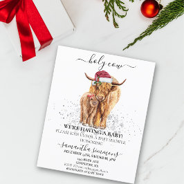 聖牛高地バジェットベビーシャワークリスマス