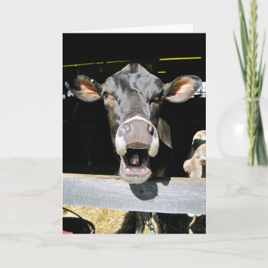 聖牛 カード (正面)