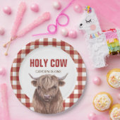 聖牛i'm One Red Plaid誕生日紙プレート ペーパープレート (パーティー)