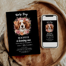 聖犬よ私は一人だ！ドッグガール1歳の誕生日