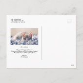 聖素朴夜の歌詞クリスマスのチャルクボード シーズンポストカード (裏面)