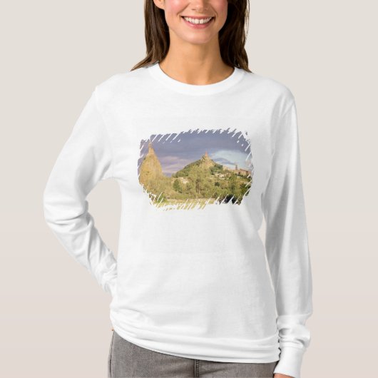 聖者のマイケルのd'Aiguilhe、Rocher Tシャツ (正面)