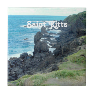 聖者Kittsは惰走します タイル