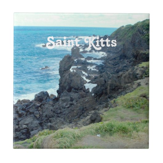 聖者Kittsは惰走します タイル (正面)