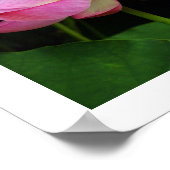 聖蓮華：日本 ポスター (角)