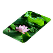 聖蓮華：日本 マグネット (左側)