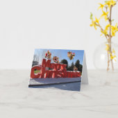 聖降誕祭お目出とう。 カード (黄色い花)