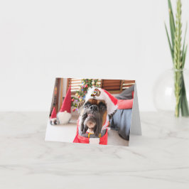 聖降誕祭お目出とう。 カード