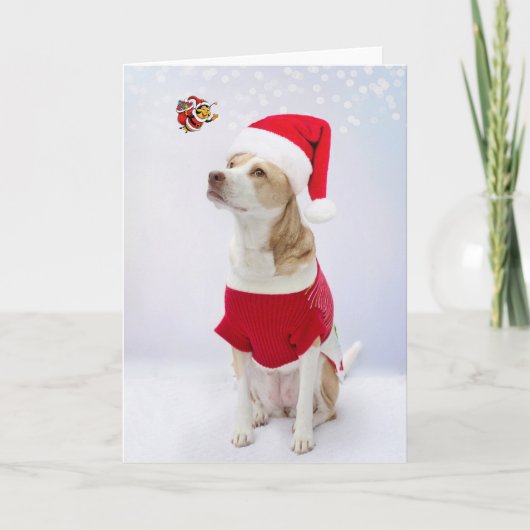 聖降誕祭お目出とう。 カード (正面)