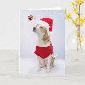 聖降誕祭お目出とう。 カード (黄色い花)