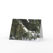 聖降誕祭お目出とう