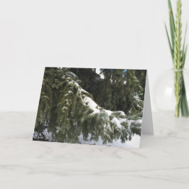 聖降誕祭お目出とう シーズンカード