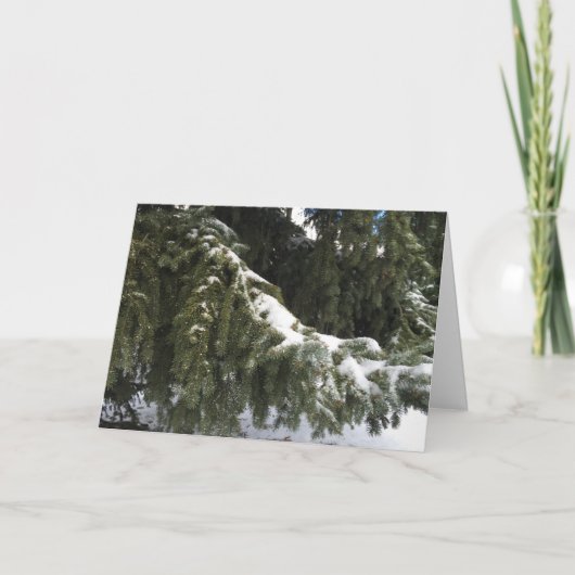 聖降誕祭お目出とう シーズンカード (正面)