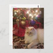 聖降誕祭お目出とう ポストカード (正面/裏面)