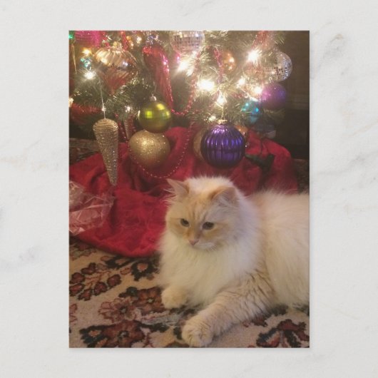 聖降誕祭お目出とう ポストカード (正面)