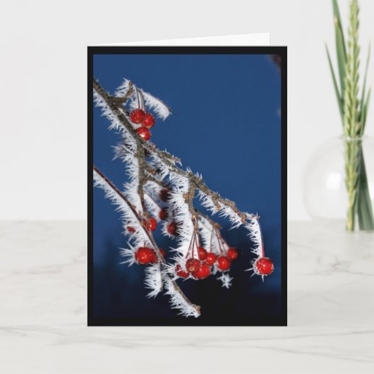 聖降誕祭お目出度う！ シーズンカード (正面)