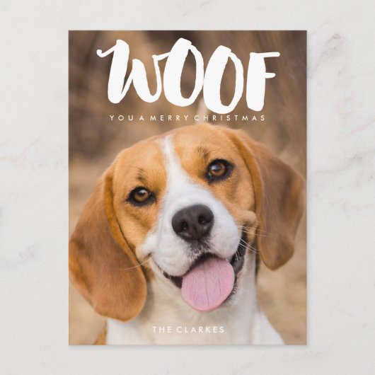 聖降誕祭お目出度う |犬の写真 シーズンポストカード (正面)