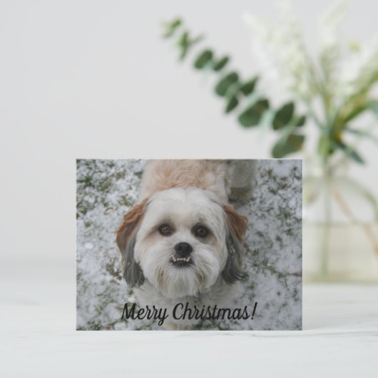 聖降誕祭のカスタマイズ可能なお祝いはがき ポストカード (スタンド正面)