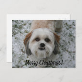 聖降誕祭のカスタマイズ可能なお祝いはがき ポストカード (正面/裏面)