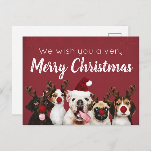 聖降誕祭の元気な子犬はがきを願って シーズンポストカード (正面/裏面)