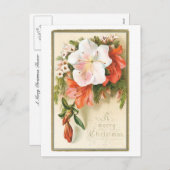 聖降誕祭の喜びの花 シーズンポストカード (正面/裏面)