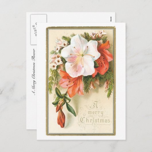 聖降誕祭の喜びの花 シーズンポストカード (正面/裏面)