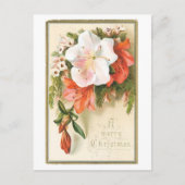 聖降誕祭の喜びの花 シーズンポストカード (正面)
