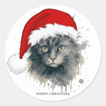 聖降誕祭を祝うサンタハットを着た猫