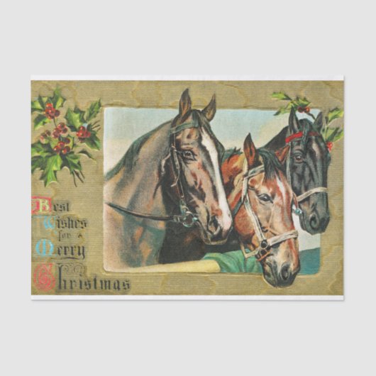 聖降誕祭最高のの祝いを祈る 薄葉紙 (正面)