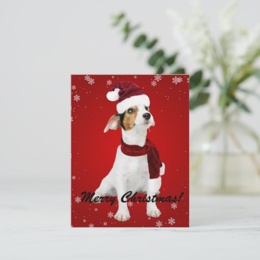 聖降誕祭聖降誕祭お目出とうサンタドッグ シーズンカード (スタンド正面)