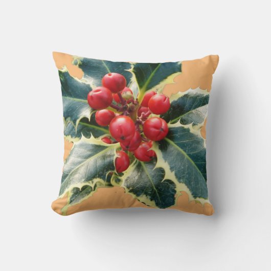 聖降誕祭 クッション (正面)