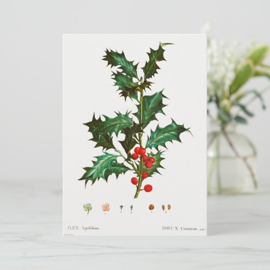 聖降誕祭 招待状 (スタンド正面)