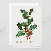 聖降誕祭 招待状 (正面/裏面)