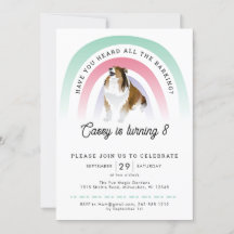 聞いたことがあるか、虹と犬の誕生日