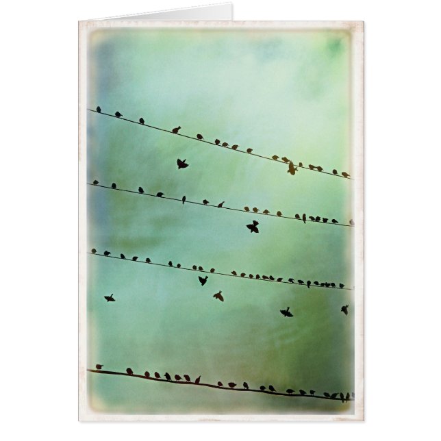 聞きましたか。 -ブランク (正面)