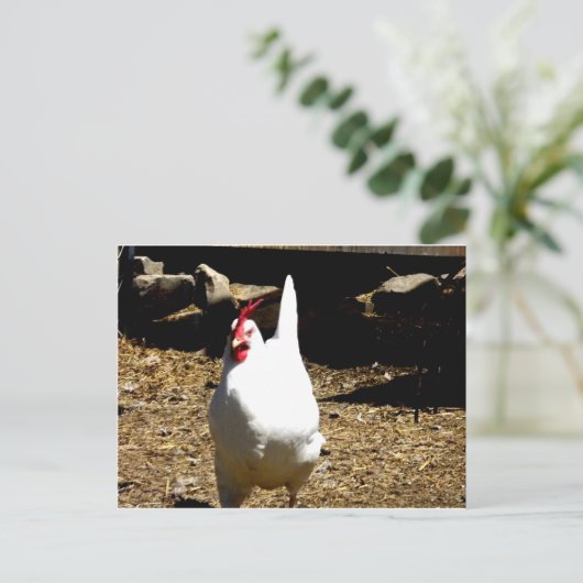 聞に ポストカード (スタンド正面)