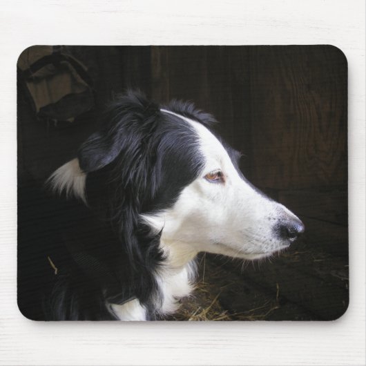 聞の マウスパッド (正面)