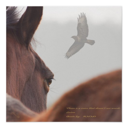 聞 ポスター (正面)