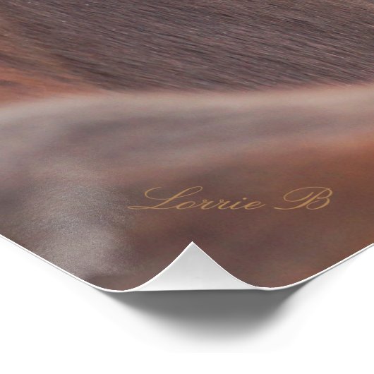 聞 ポスター (コーナー)